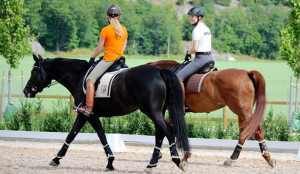 HORSE RIDING