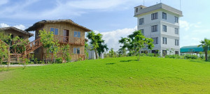 Real-site-images